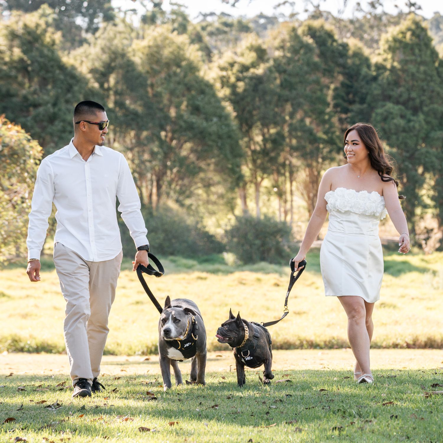 two dogs walking side by side with their owners during an elopement photoshoot in the western sydney parklands