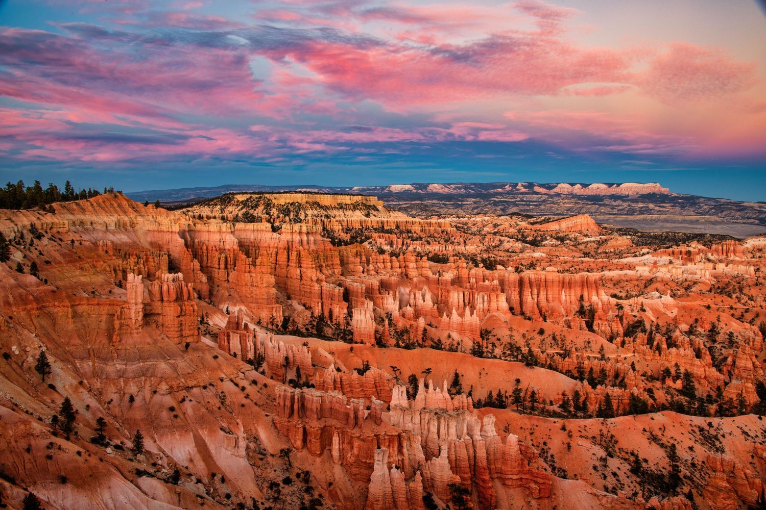 Panoramic view of Bryce Canyon National Park's red rock hoodoos under a vibrant pink and purple sunset sky.
