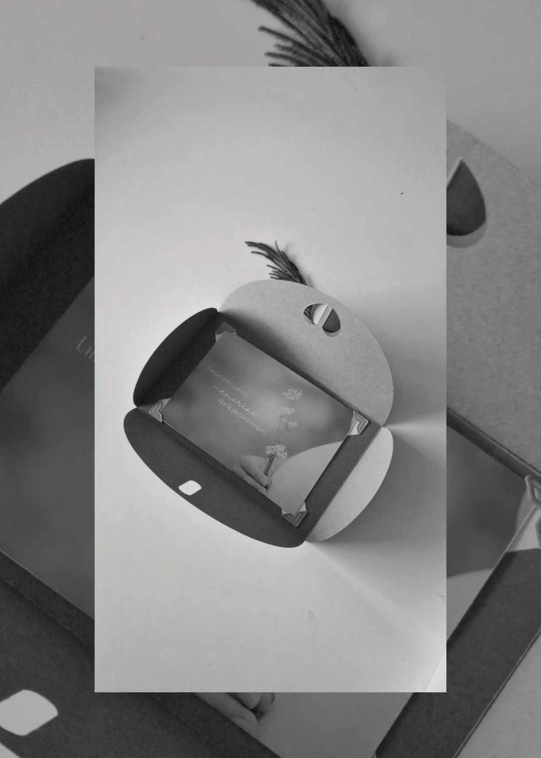 Open gray kraft paper gift box with a feather decoration revealing contents inside, black and white photo.