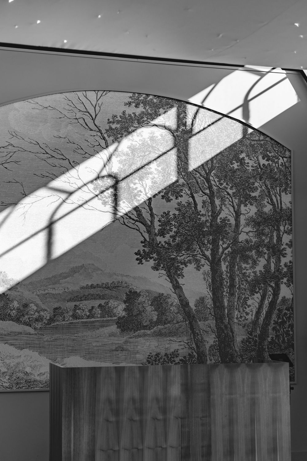 Artistic black and white architectural detail with tree shadows and landscape view.