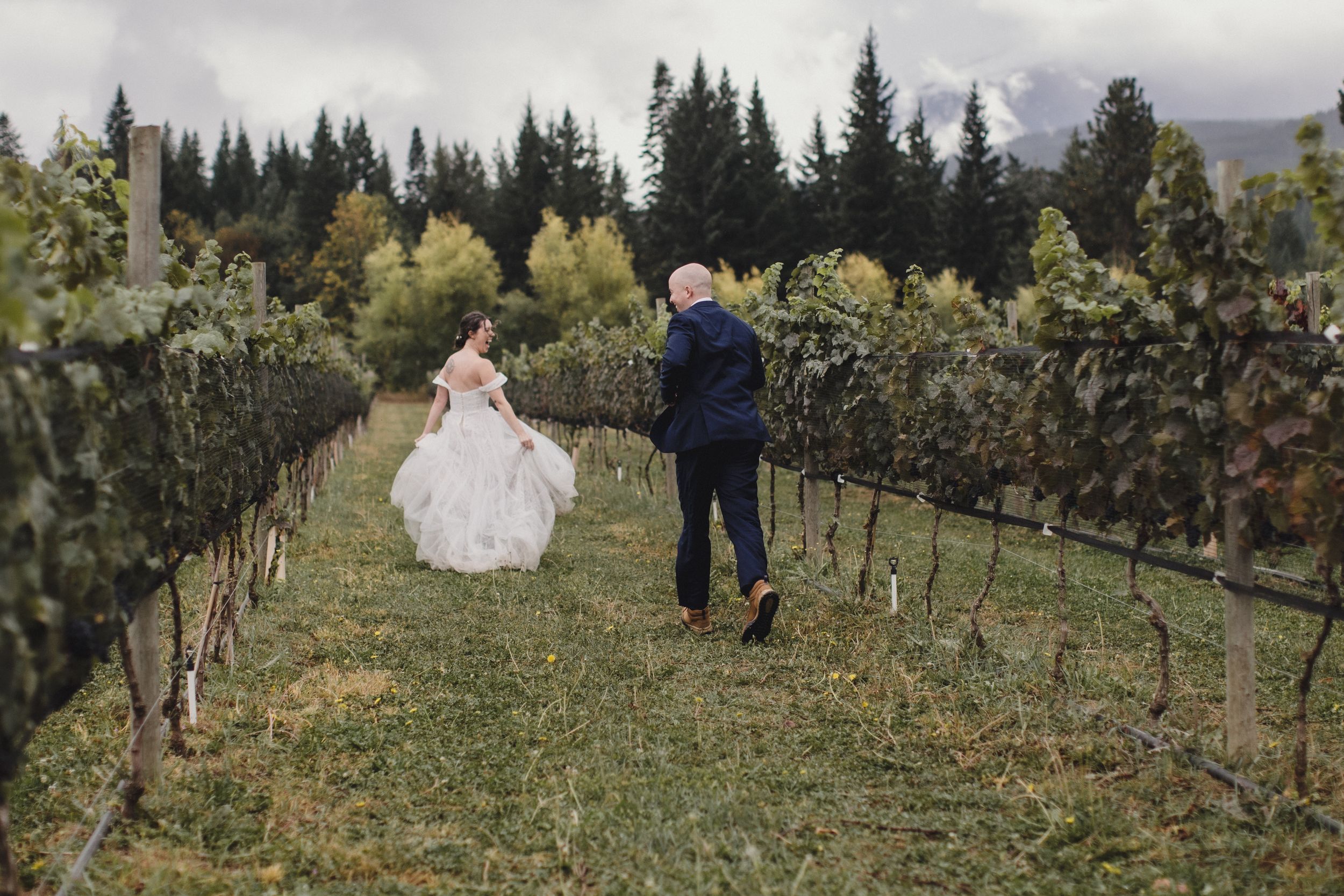 A scenic vineyard wedding ceremony with guests seated among rows of grapevines on a cloudy autumn day.