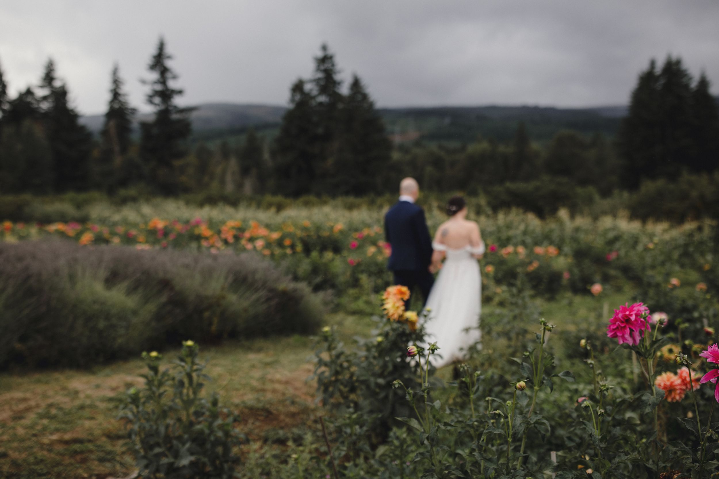 Two figures stand among colorful flowers in a garden path with evergreen trees and mountains in the background.