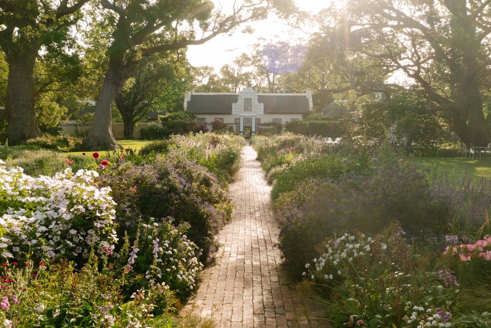 A sunlit garden pathway lined with blooming flowers and trees creates a tranquil walkway at sunset.