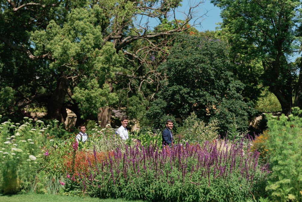 Vibrant garden with tall flowering plants and purple blooms against a bright blue summer sky.