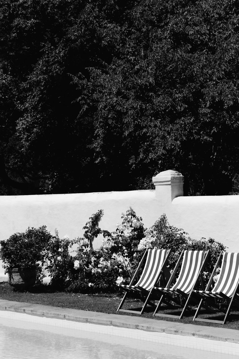 Three striped deck chairs line up against a white garden wall with lush foliage and trees in the background.