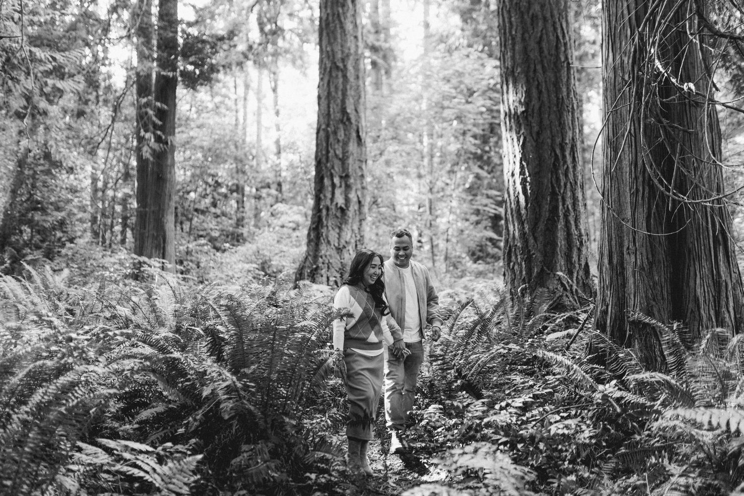 A serene black and white photograph of towering redwood trees in a misty forest landscape.