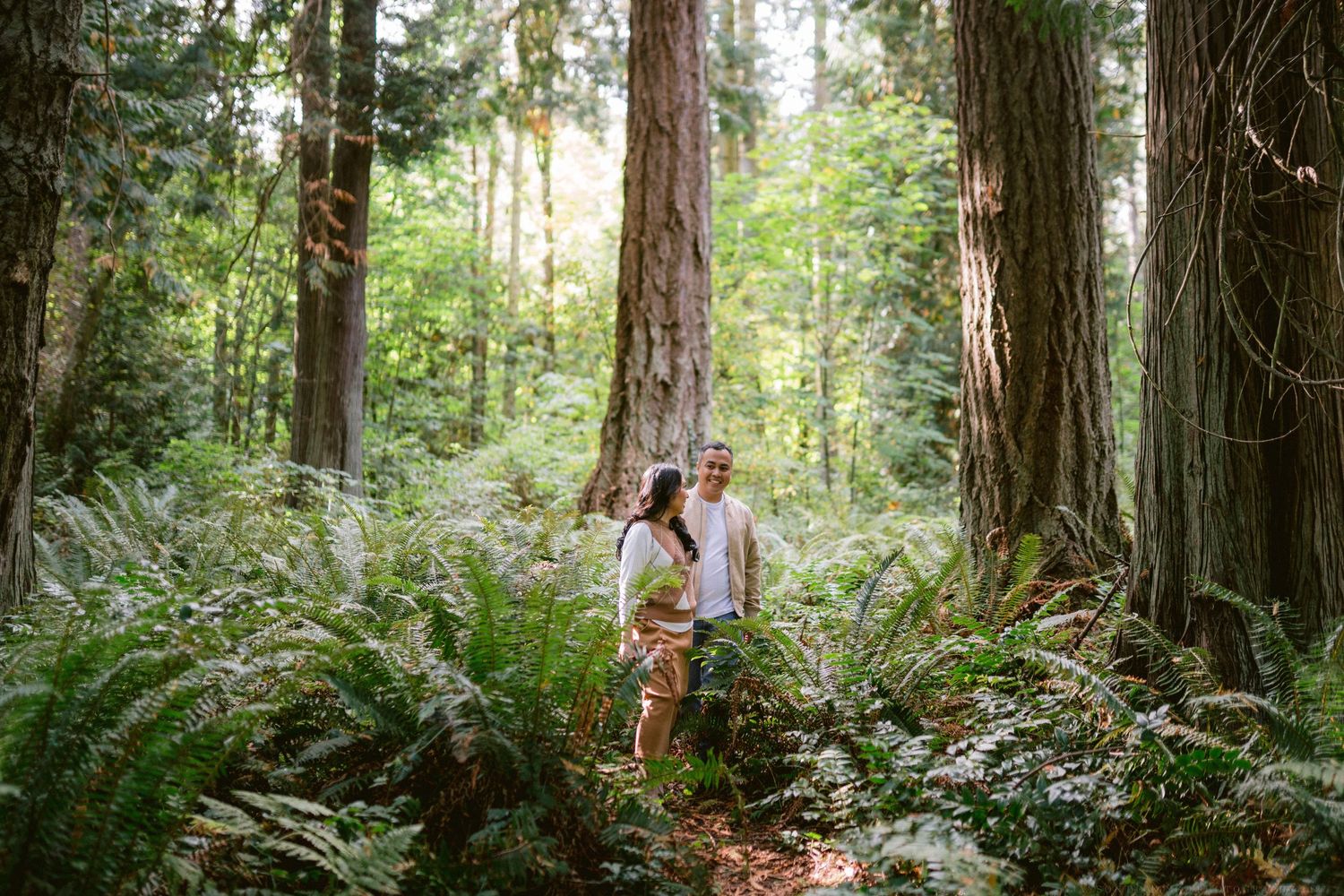A romantic forest photoshoot among tall trees and ferns in natural sunlight.