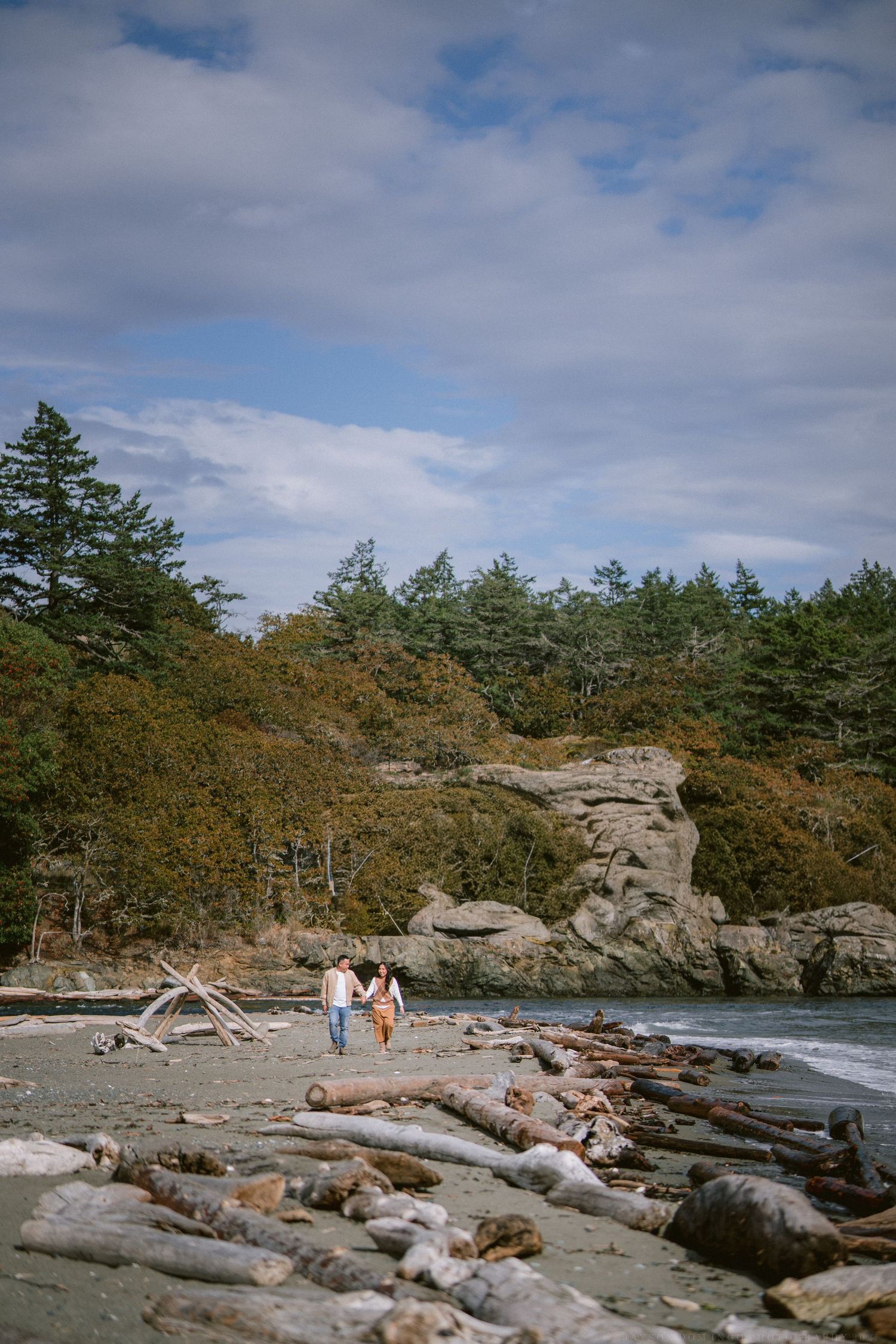 Rocky coastline with driftwood scattered along a beach under cloudy skies.
