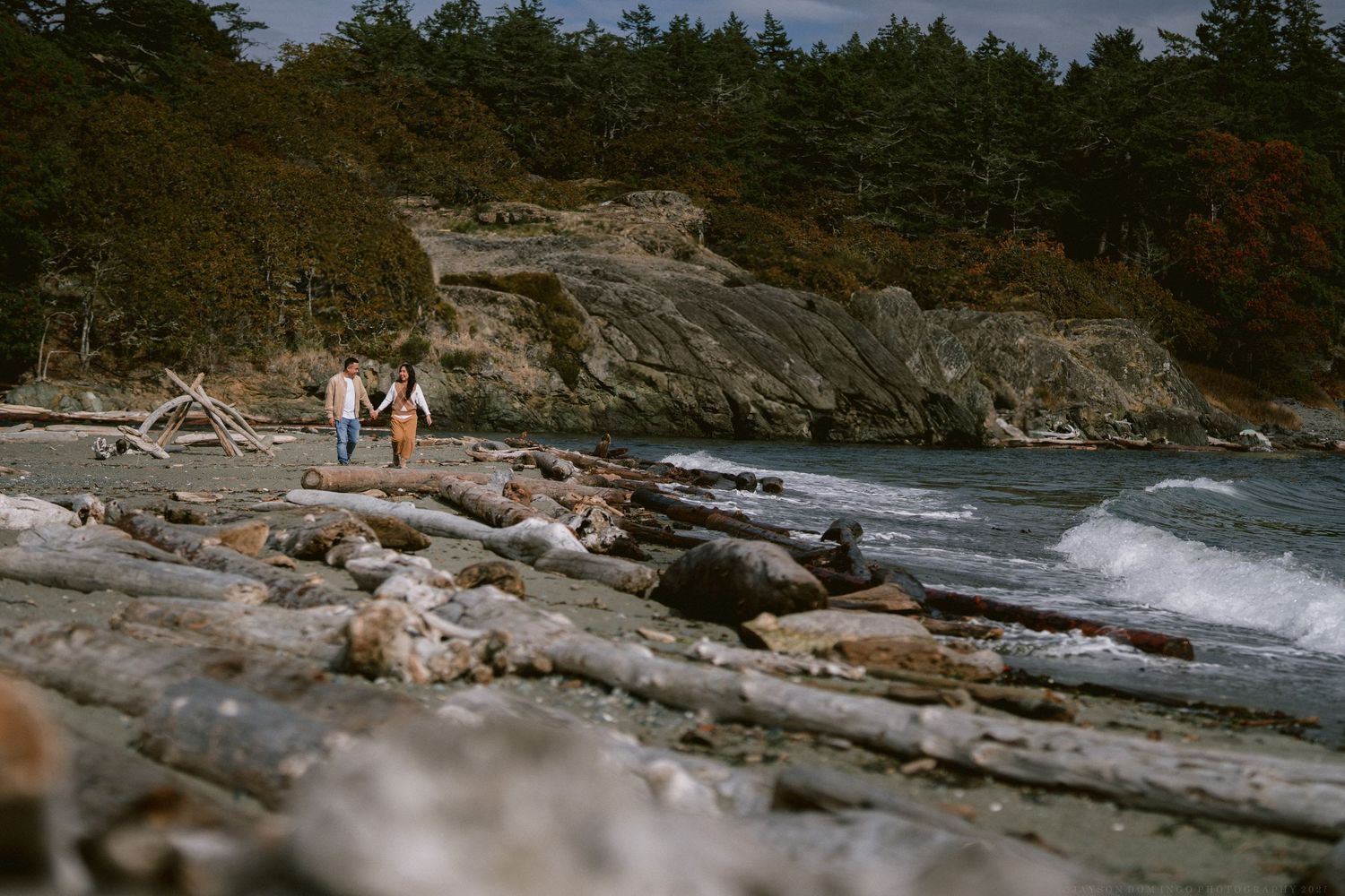 Rocky coastline with waves crashing against driftwood logs and evergreen trees in the background.