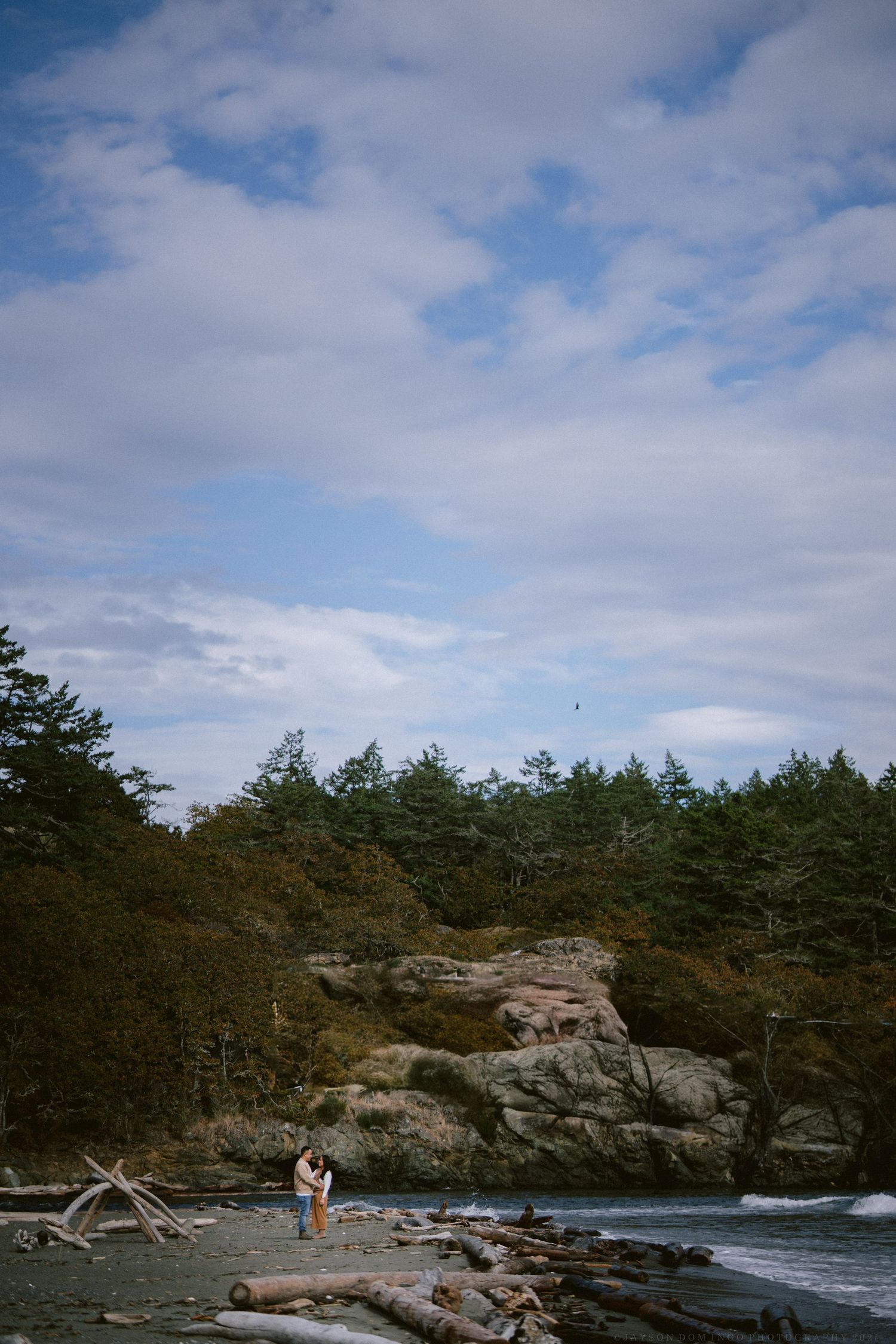 Rocky Pacific Northwest coastline with evergreen trees and dramatic cloudy sky.