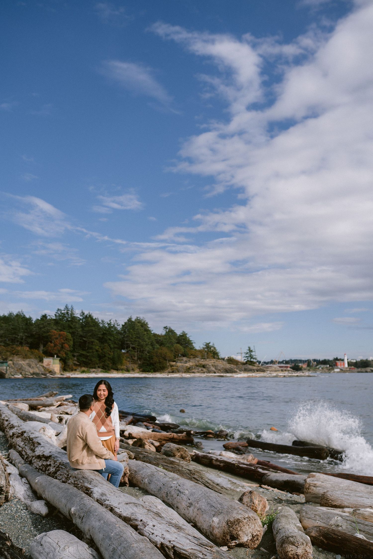 Scenic coastal landscape with driftwood logs on rocky shore under blue sky with white clouds.