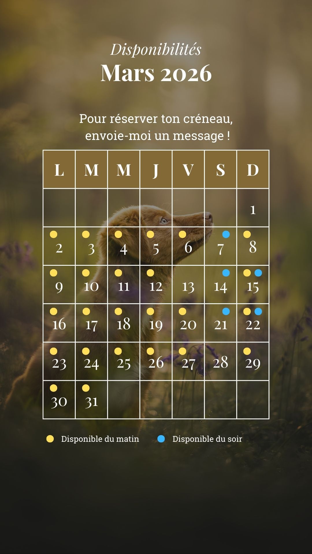 French calendar showing July 2025 availability schedule with yellow and blue dots indicating morning and evening time slots.