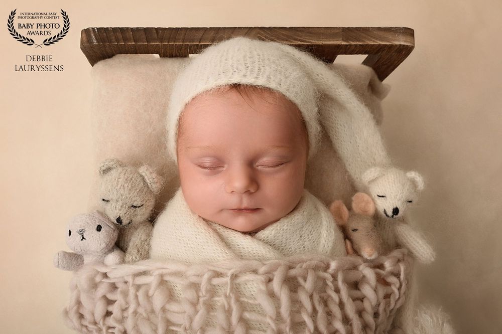 Award winning Newborn photography setup with soft beige textured blankets and little animal props.