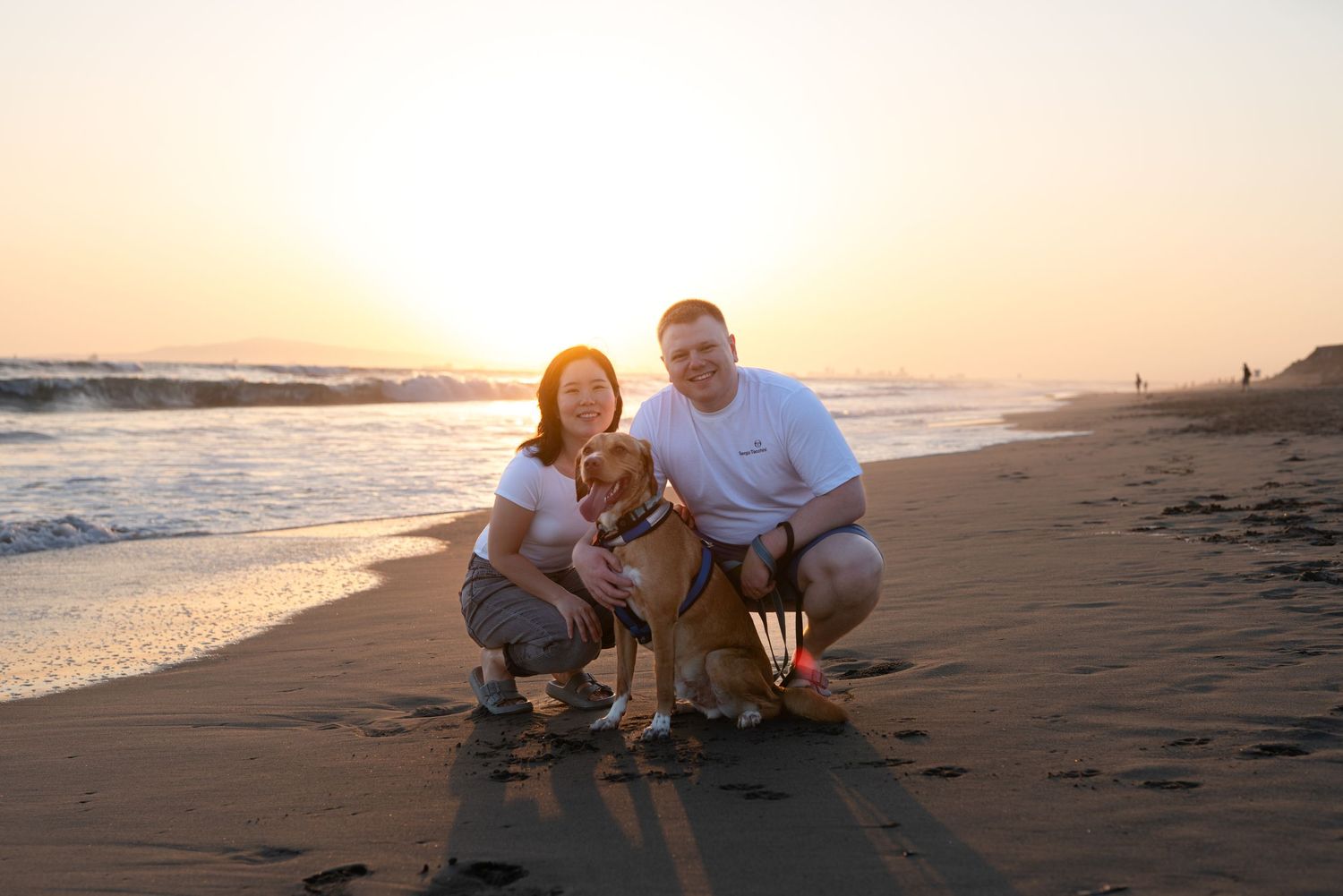 Pet photography by The Iconic Photograph. Huntington Beach