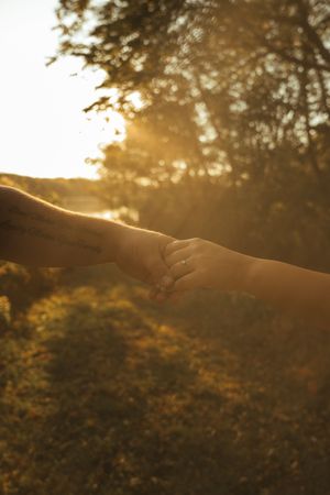 Hands reaching out in warm sunset light with trees in the background.