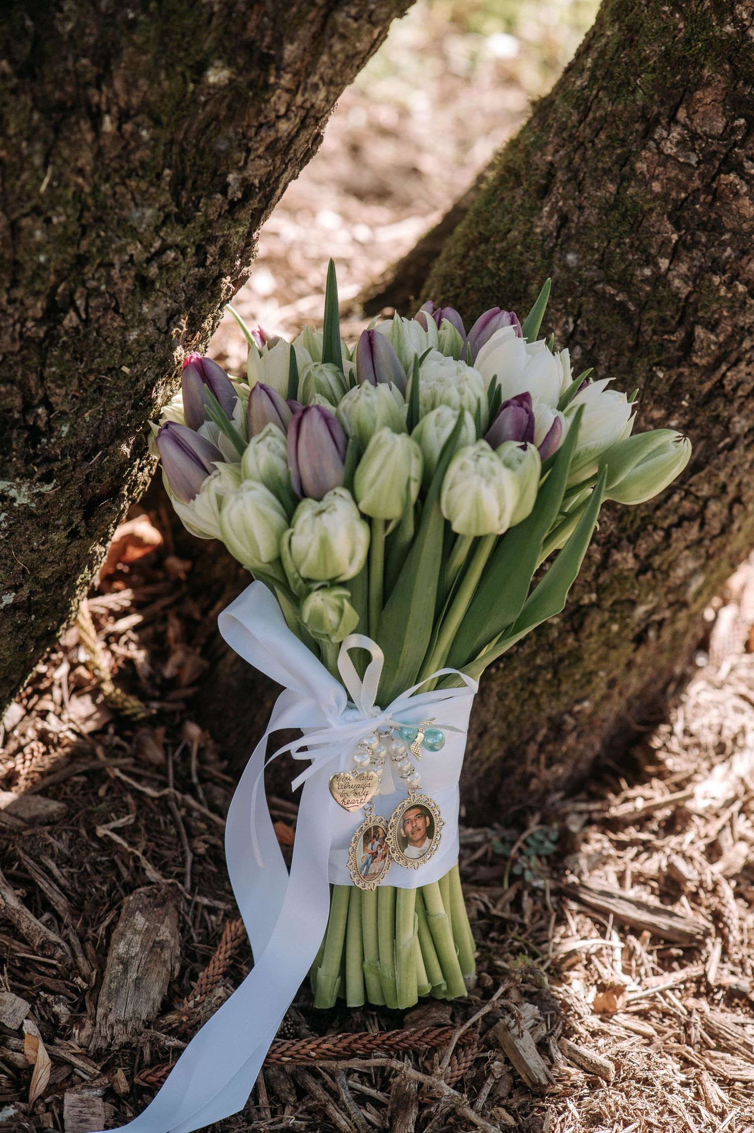 A bouquet of white and purple tulips tied with a light blue ribbon and decorative tag rests against a tree trunk.