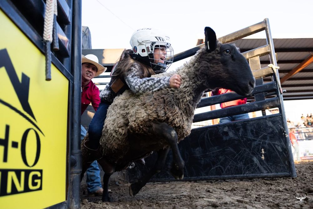 Bull riding action shots at a professional rodeo competition. Nebraska Pro Rodeo PRCA Rodeo Photographer Dakota Cardenas