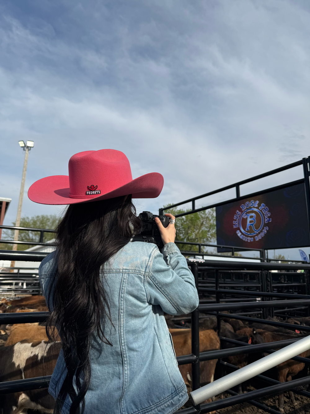 Spectators watching rodeo event from bleacher seating area.