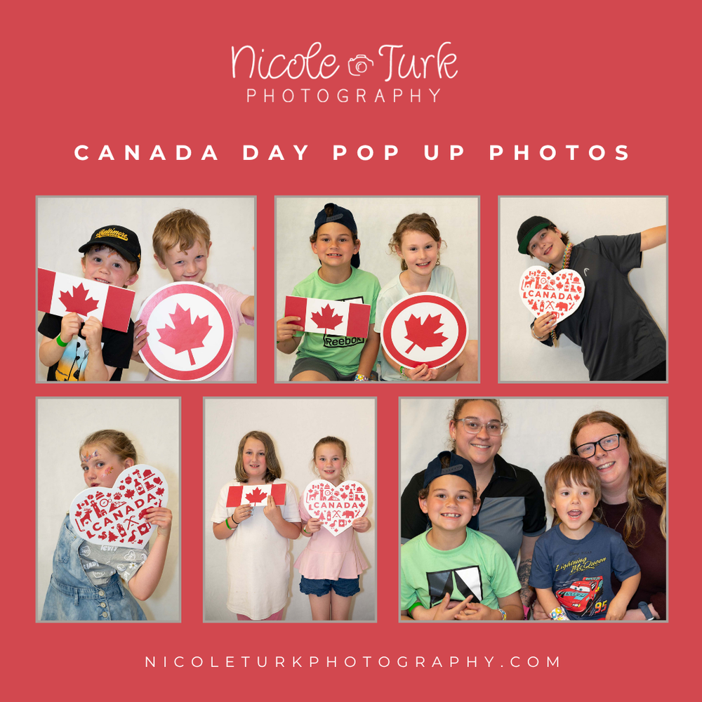 The background is white, and the overall theme is festive and patriotic. The top of the image reads Nicole Turk Photography
