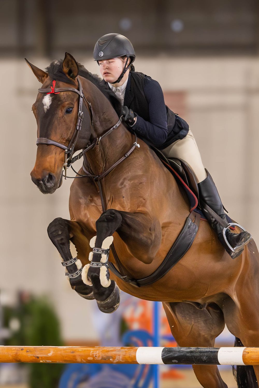 Equestrian rider in black helmet and jacket jumps bay horse over colorful show jumping obstacle during competition.