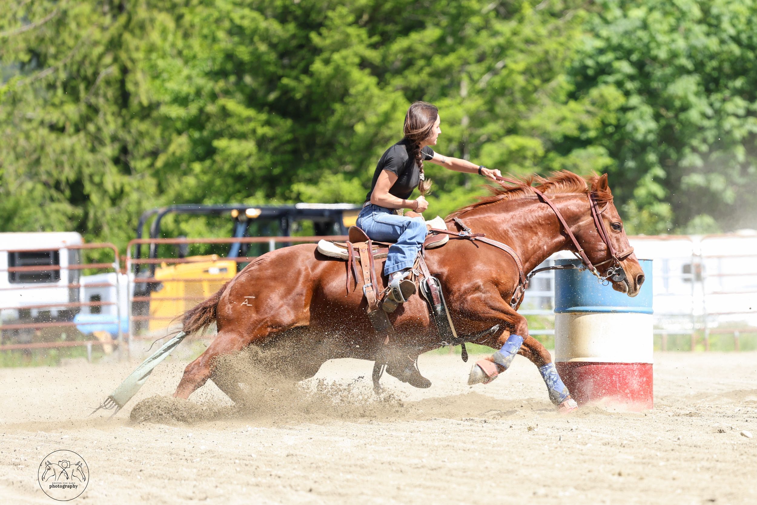 Action sequence showing a barrel racing horse and rider making tight turns around barrels in a dusty arena.