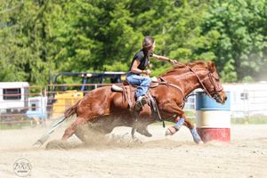 Action sequence showing a barrel racing horse and rider making tight turns around barrels in a dusty arena.
