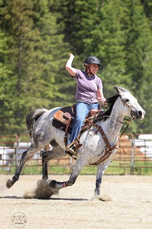 A sequence of photos showing a horse bucking and throwing its rider in a sandy arena with green trees in the background.