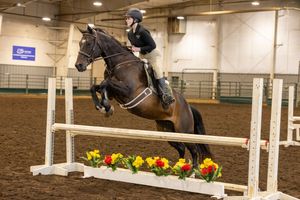 A rider in black attire guides their dark brown horse over a floral-decorated jump rail in an indoor arena.