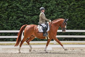 A rider in equestrian attire performs dressage on a chestnut horse in an outdoor sand arena.