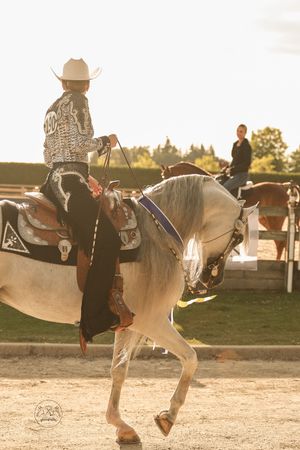 Rider in embroidered jacket on gray horse performing at equestrian show in golden hour light.