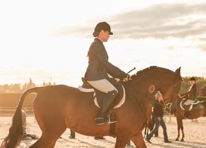 Equestrian rider in formal attire on a dark brown horse at a sunlit outdoor competition.