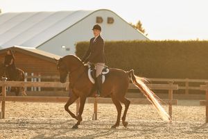 Equestrian rider in formal attire performing dressage on a chestnut horse in a sandy arena at golden hour.