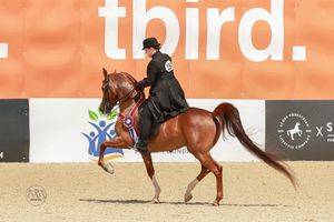 Chestnut horse and rider in black attire competing in an equestrian show, with an orange banner reading third in background.