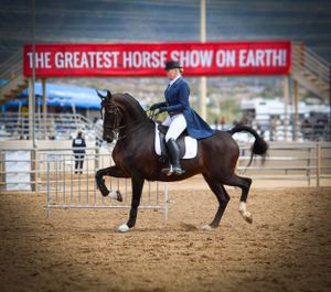 Horse and rider competing in a dressage event under 'The Greatest Horse Show on Earth' banner.