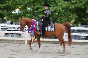 A group of horses and riders performing in a patriotic-themed equestrian show with red, white and blue decorations.