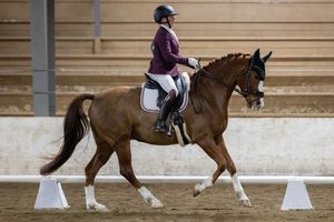 Two equestrians in purple and white riding attire perform dressage movements on bay horses in an indoor arena.