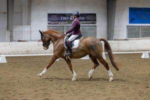 Equestrian rider in purple jacket performs dressage movement on chestnut horse in indoor arena.