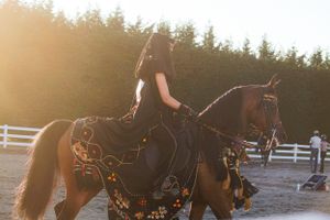 Horse with decorative tack illuminated by golden evening light in riding arena.