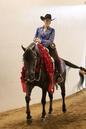 A smiling woman in a blue sequined outfit and cowboy hat rides a decorated black horse at an equestrian competition.