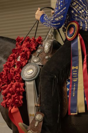 Equestrian rider holding red roses and blue ribbon awards on decorated horse at Canada's National Action show.