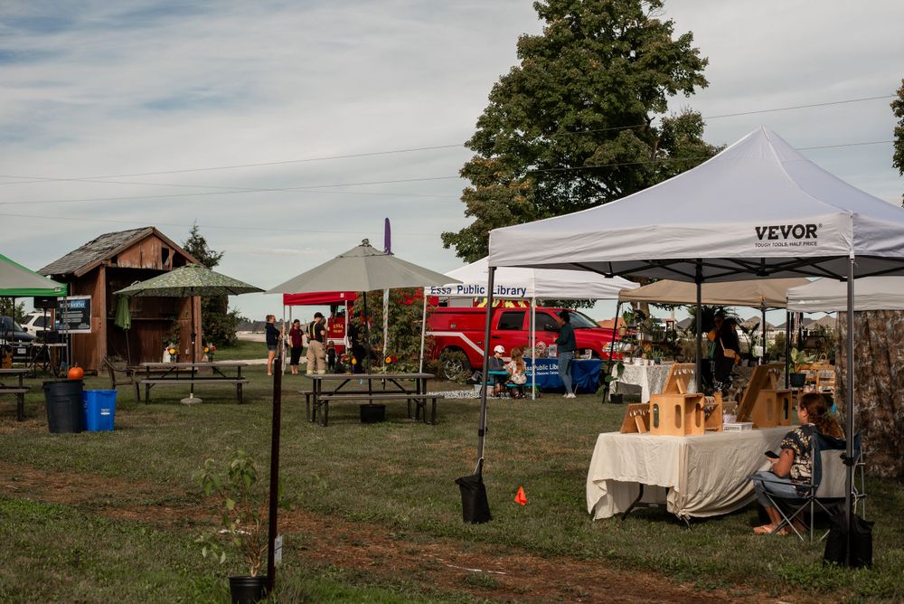 Multiple vendor tents and booths set up at an outdoor market on grassy grounds.