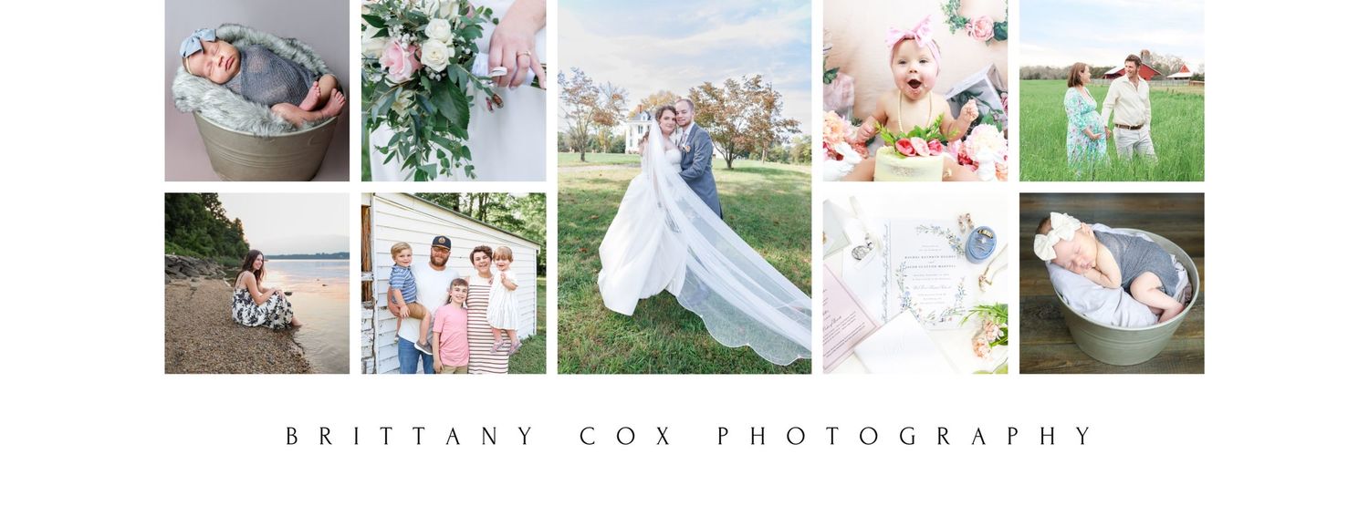 Photography portfolio banner showing diverse outdoor photo sessions and wedding imagery.