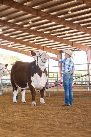 Burleson County Fair heifer exhibitor.