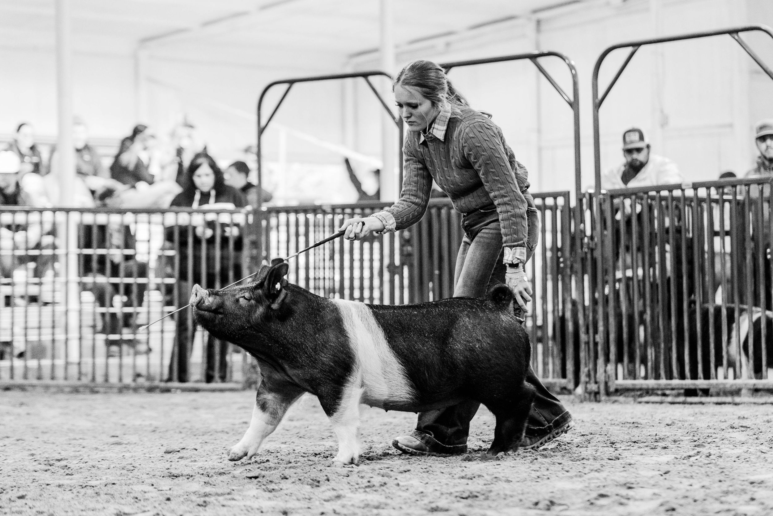 Black and white photos showing a training session with a horse in an enclosed arena.