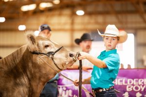 Steirwalt Cattle Battle Steer exhibitor.