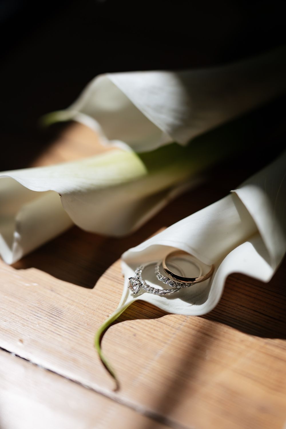 White calla lily petals cast dramatic shadows on a light wooden surface in a minimalist composition.