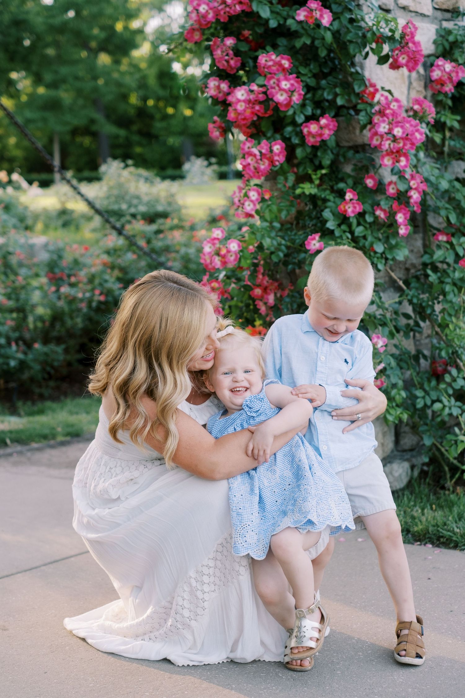 A family sits together under blooming pink roses in a garden setting during a summer photoshoot.