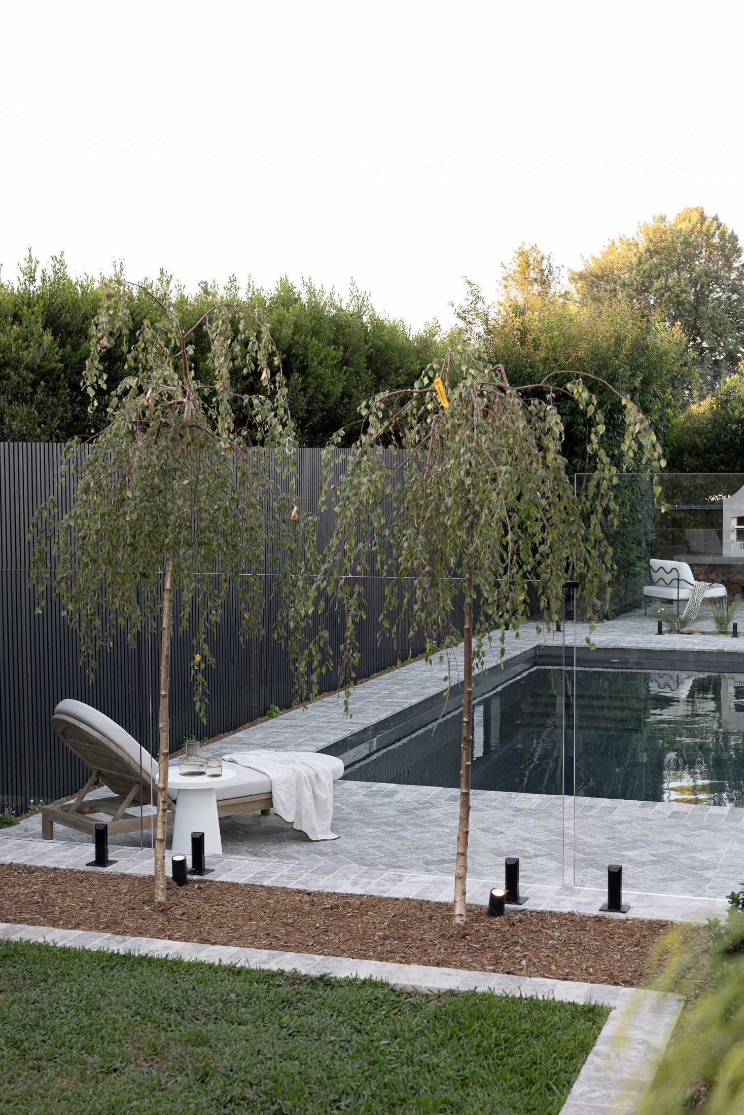 Modern backyard design featuring sleek glass panels and young trees along a paved pathway with minimalist landscaping.