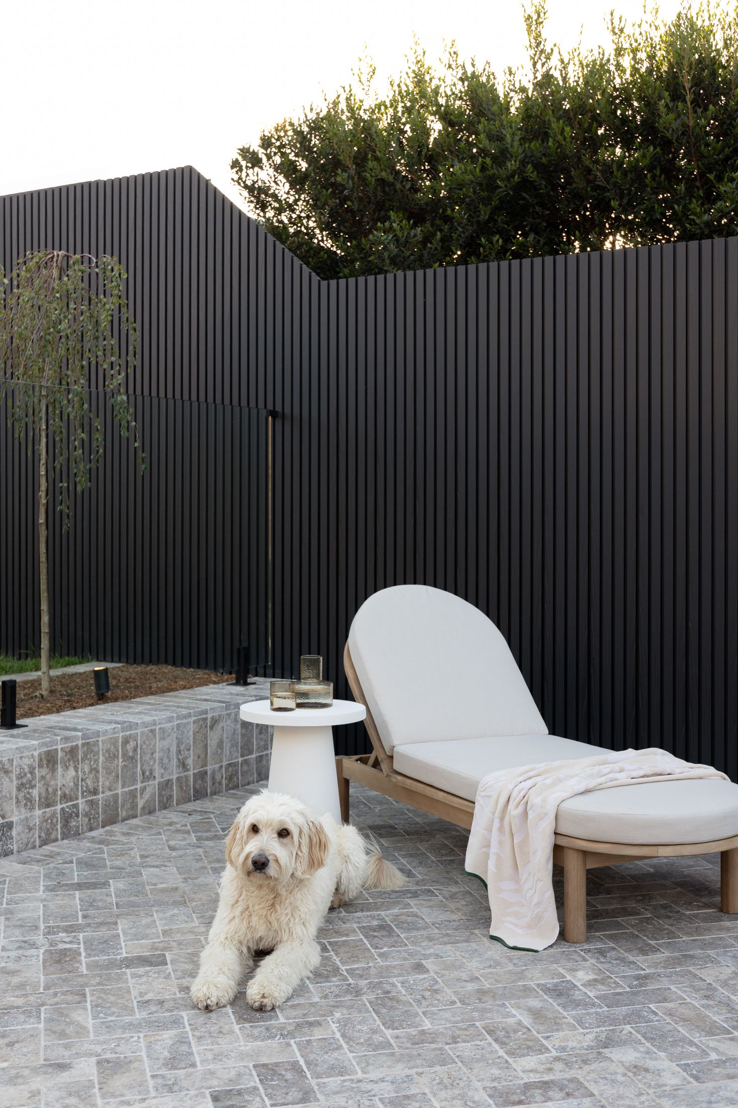 A shaggy white dog lounges on a stone patio next to a modern chaise lounge against a dark fence at dusk.