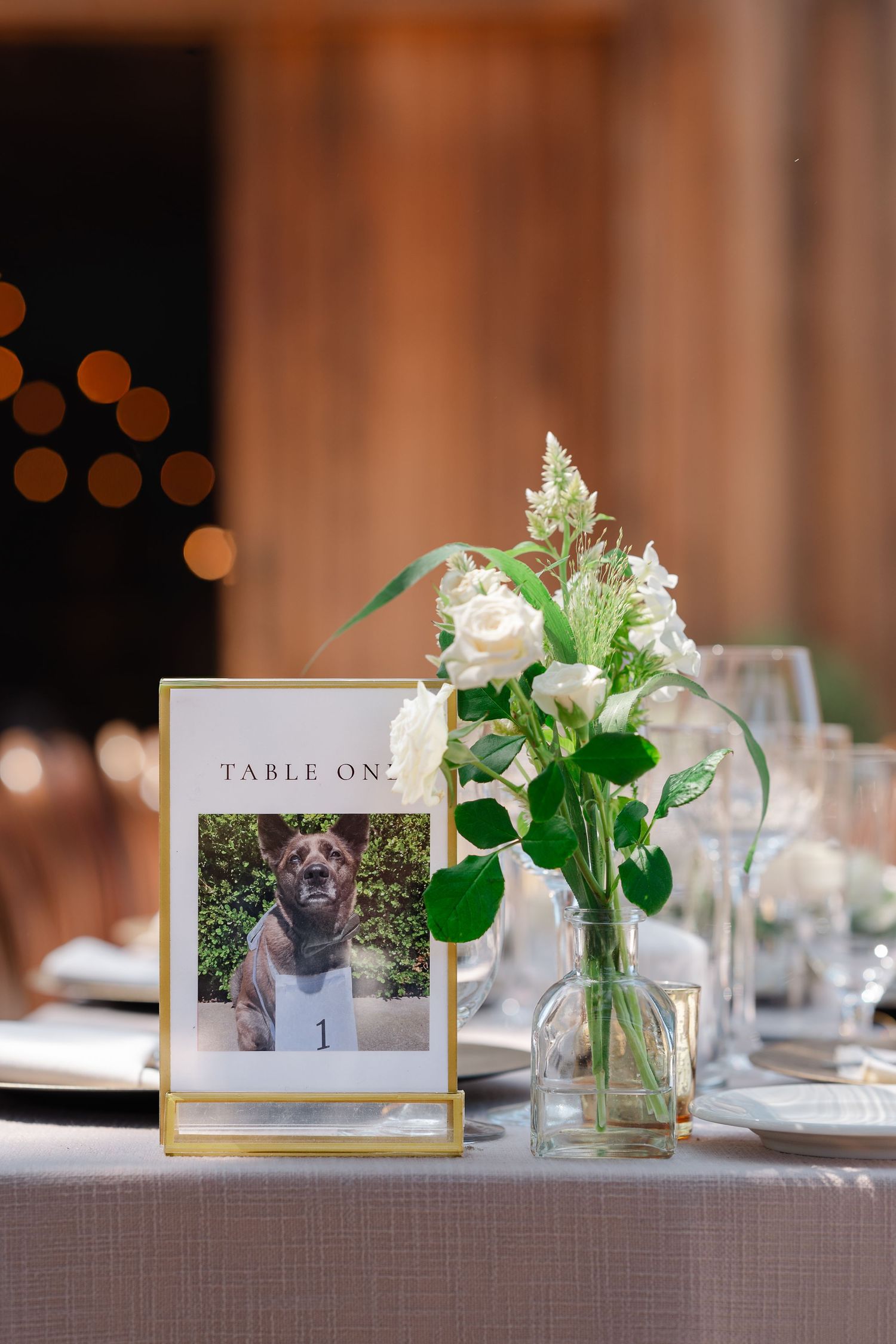 Wedding reception table settings feature framed dog photos as table numbers alongside elegant white floral centerpieces.